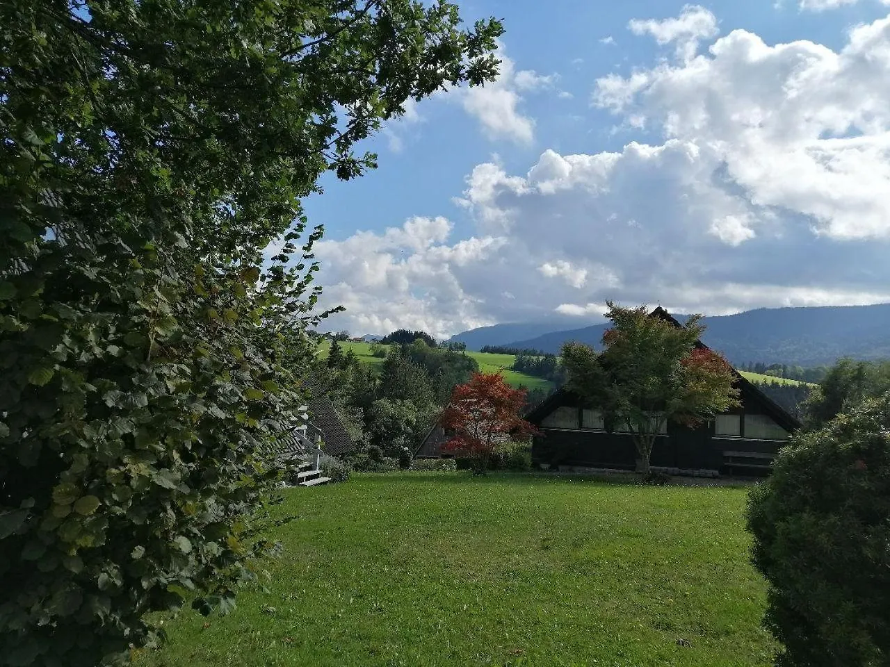 Begonie Apartman Siegsdorf Németország